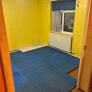 Wood Shop Removal