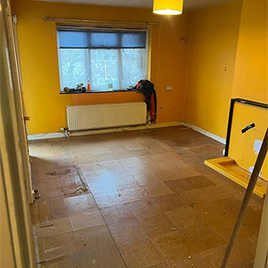 Wood Shop Removal