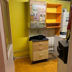 Wood Shop Removal
