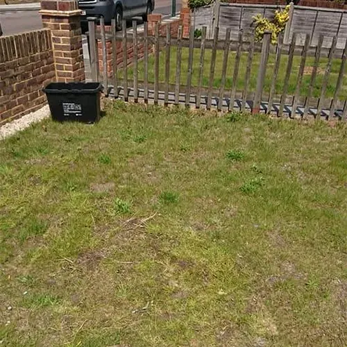 Front Garden